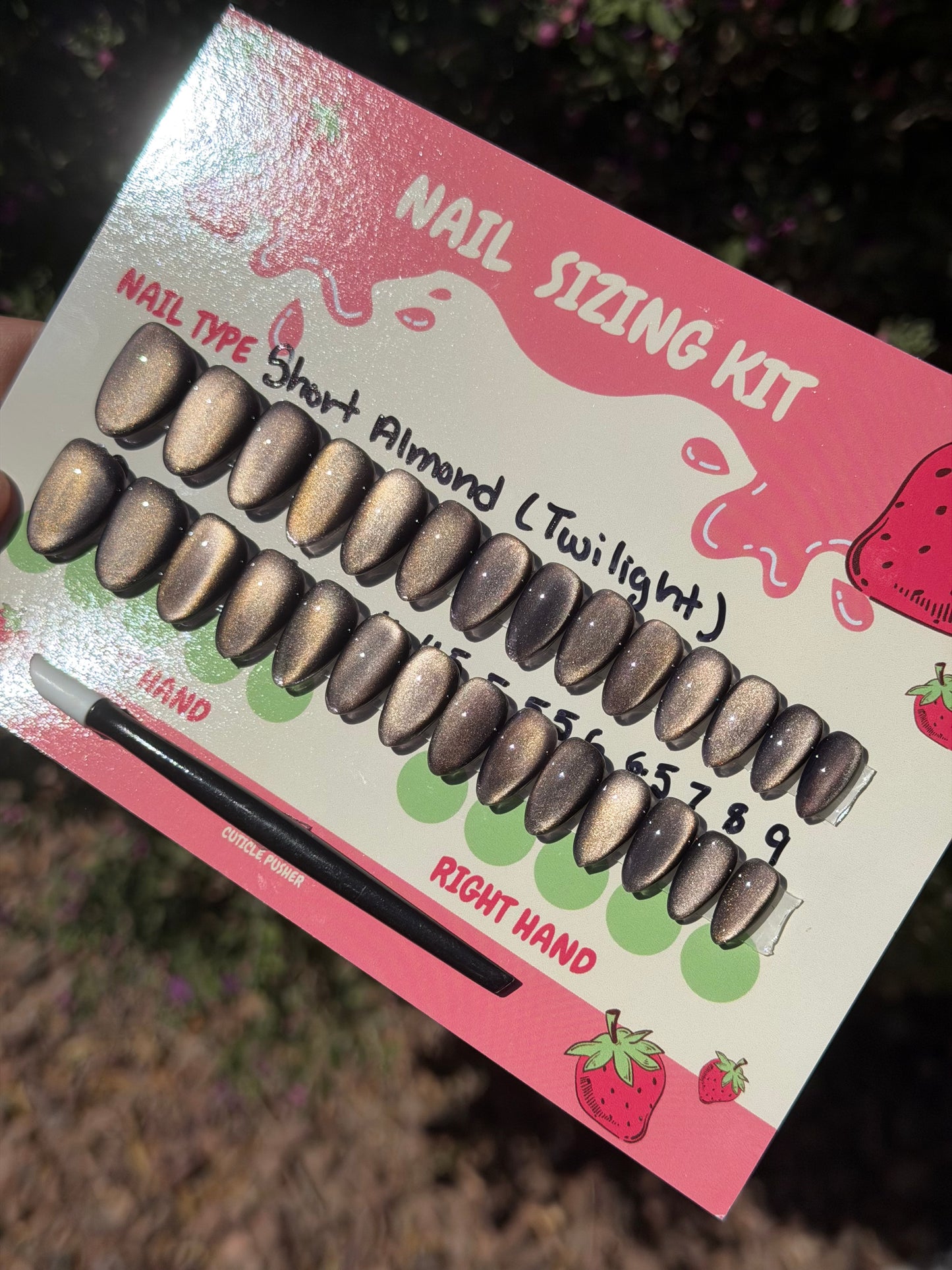 Twilight Starter Kit