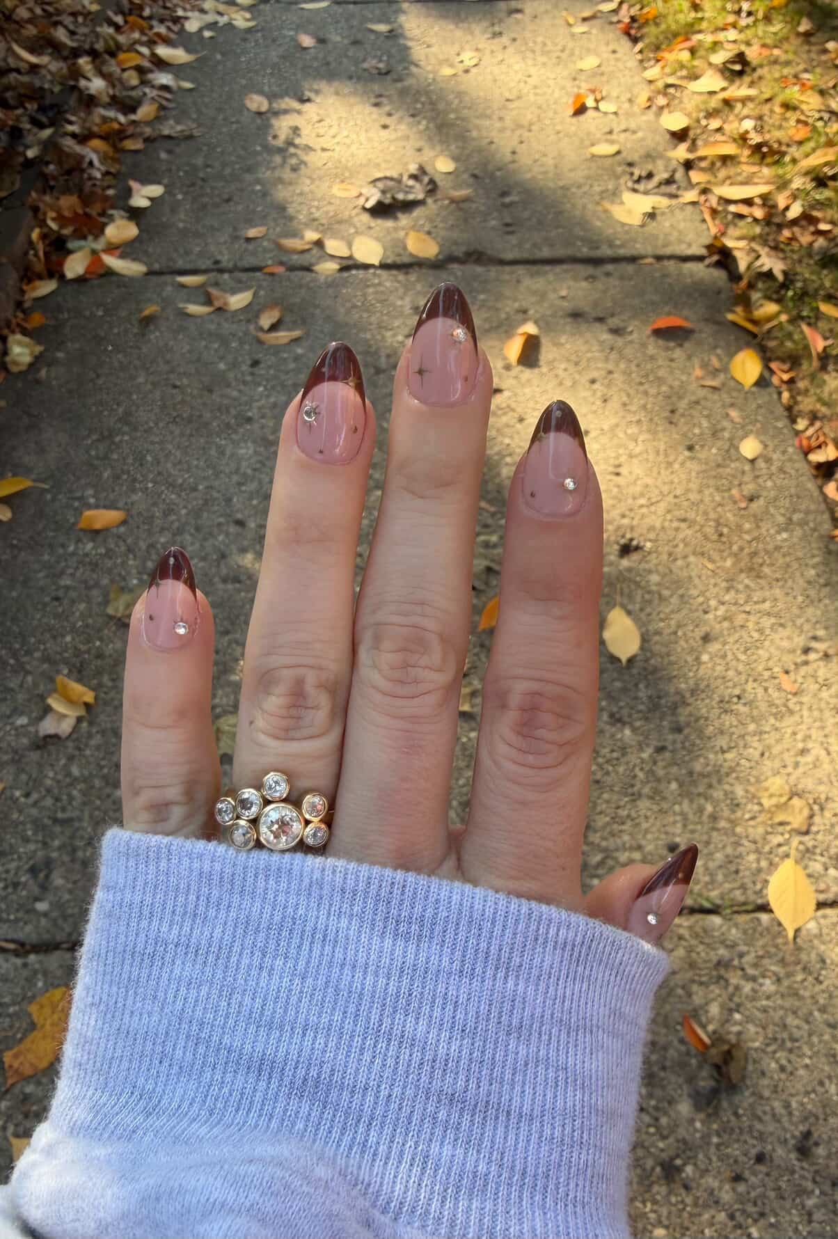 Fall Frenchies